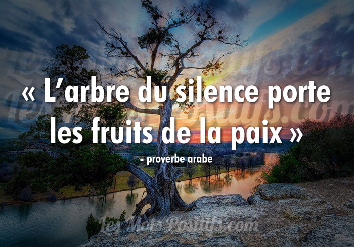 Citation sur La paix