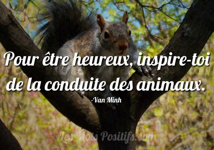 Citation sur Inspirons-nous de la nature