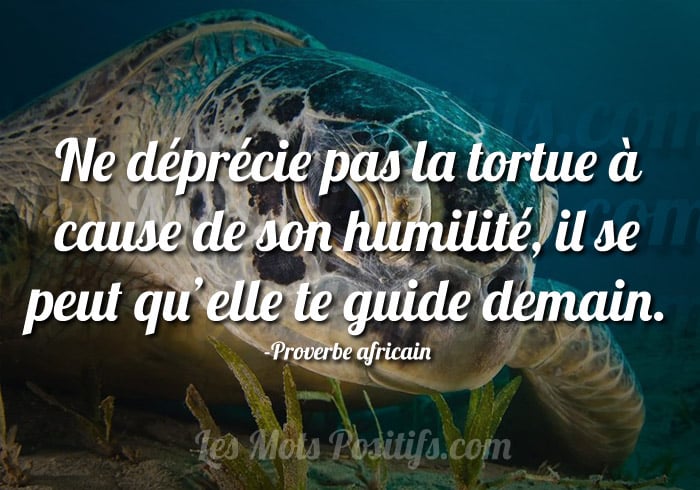 Citation sur Ne sous-estimez jamais personne