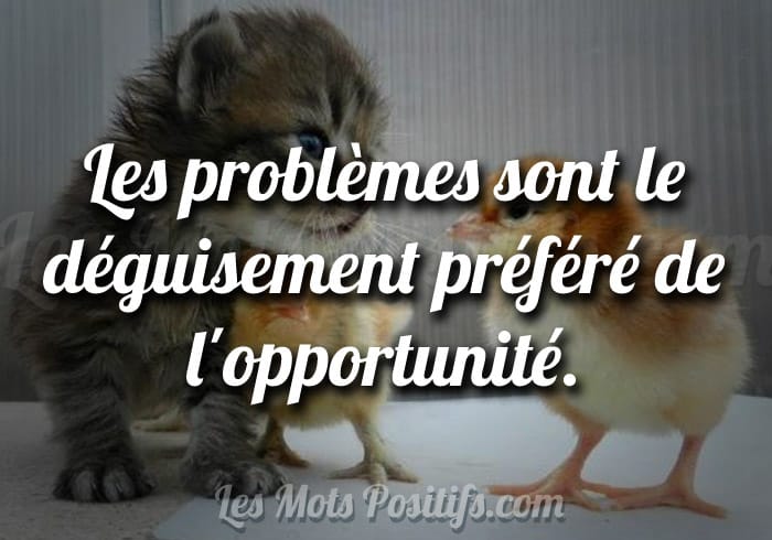 Les opportunités