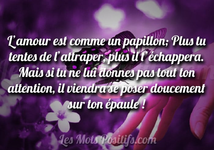 L’amour est comme un papillon