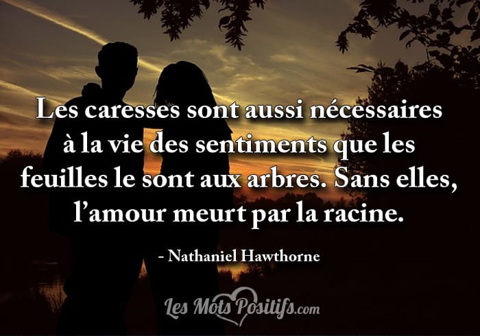 Besoin de caresses ?