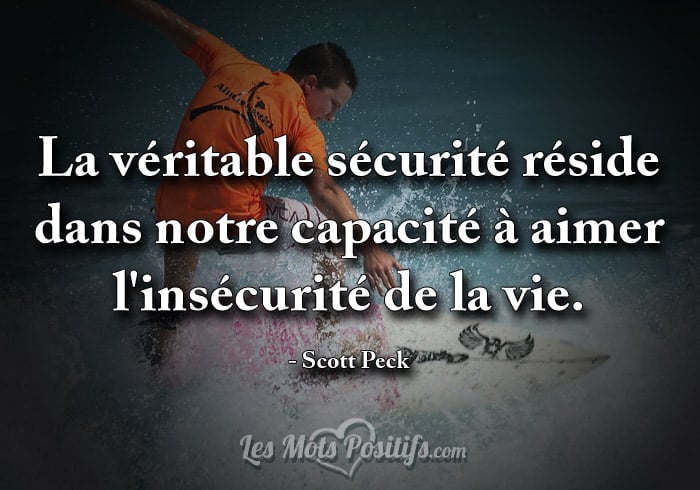 Citation sur L’insécurité de la vie