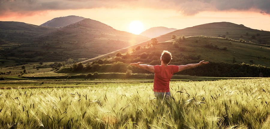 Gratitude : l’Ascenseur du bonheur !