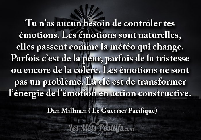 Les émotions sont naturelles,  elles passent comme la météo qui change.