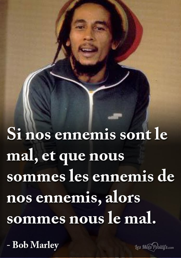 Citation sur Sommes nous le mal ?