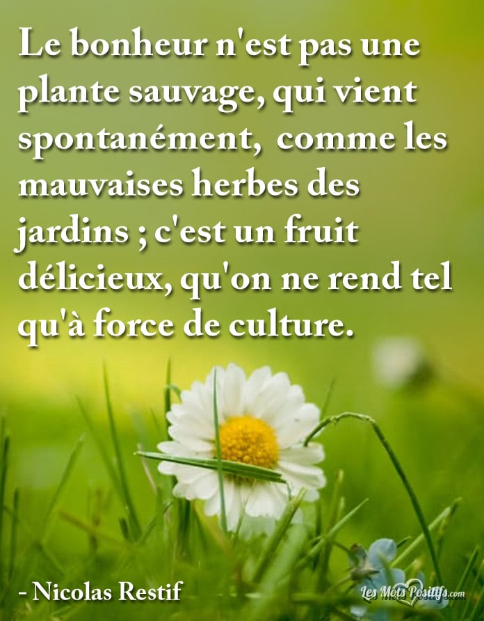 Le bonheur n’est pas une plante sauvage