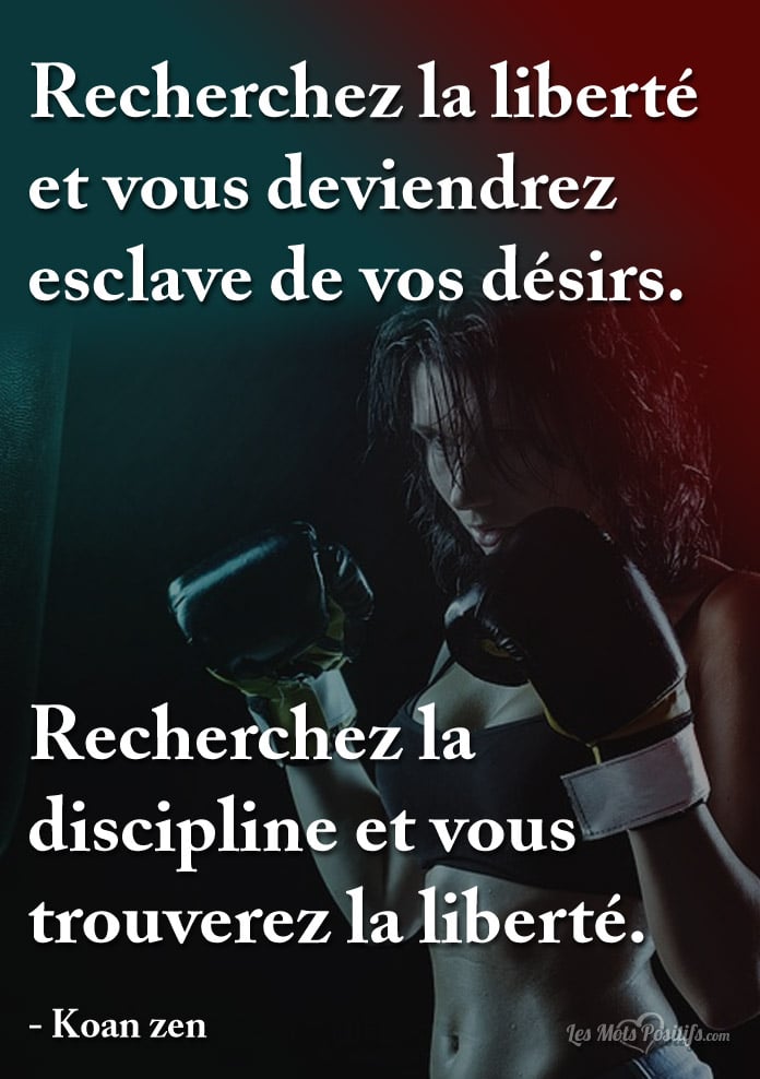 Recherchez la discipline