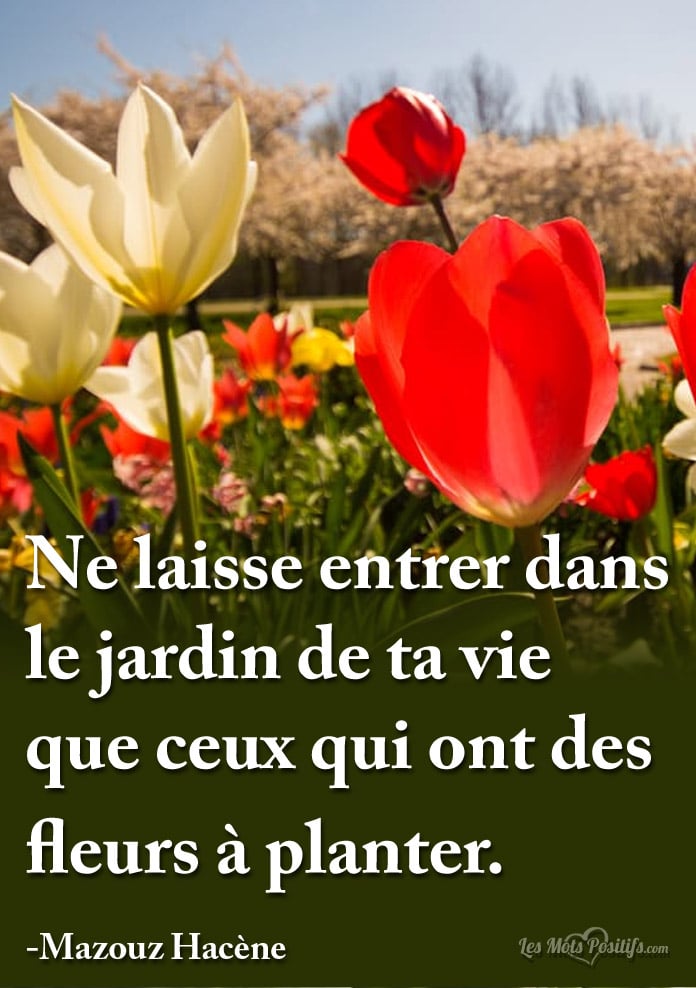 Le jardin de ta vie