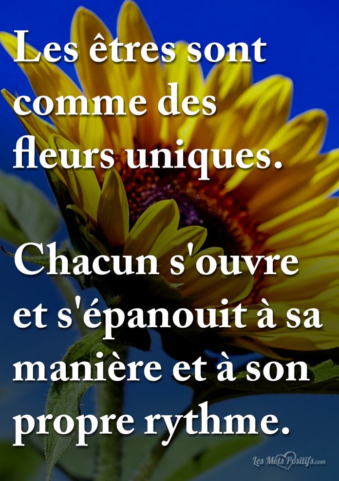 Les êtres sont comme des fleurs uniques