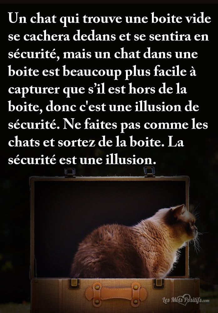 Illusion de sécurité