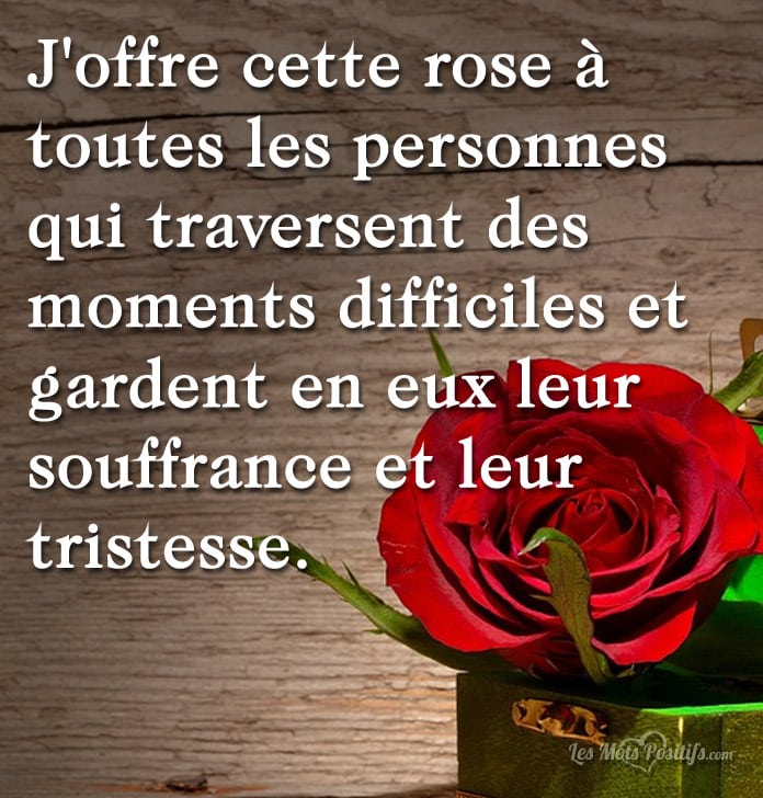 J’offre cette rose