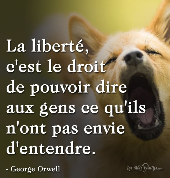 Affirmez-vous et soyez plus libre !