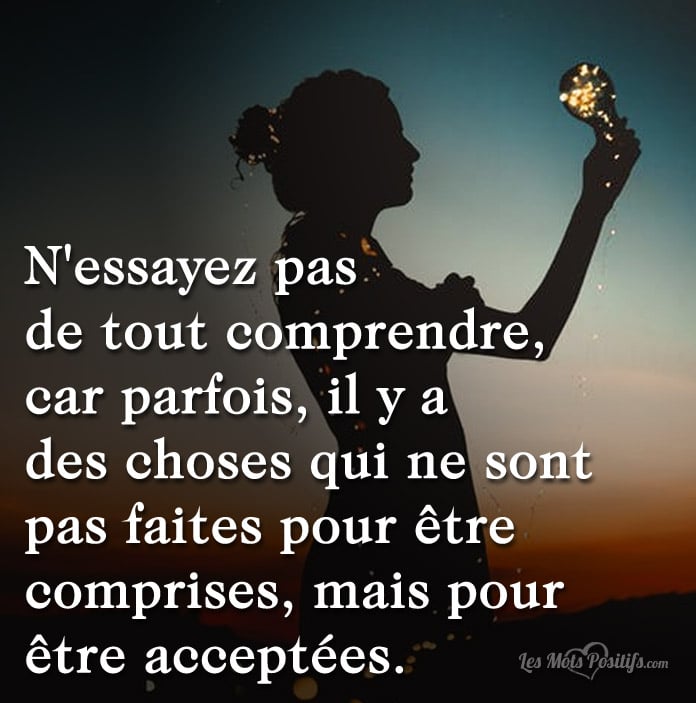 Citation sur N’essayez pas  de tout comprendre