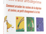 Petit traité antidéprime : Comment arracher les racines de la déprime et revivre, un petit changement à la fois (ebook + bonus)