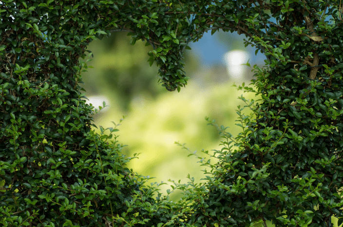 Tout finit toujours par passer… même l’amour