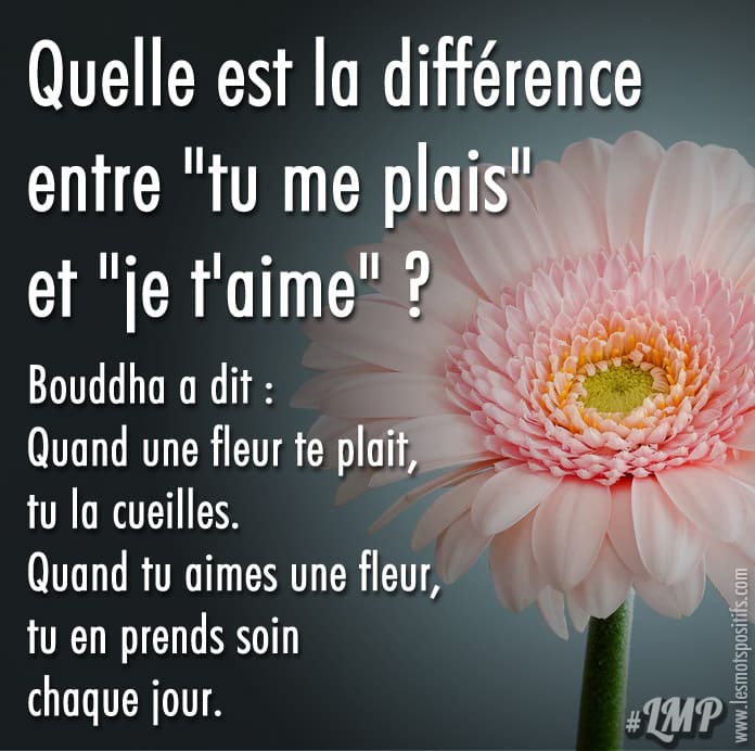 Quelle est la différence entre « tu me plais » et « je t’aime » ?