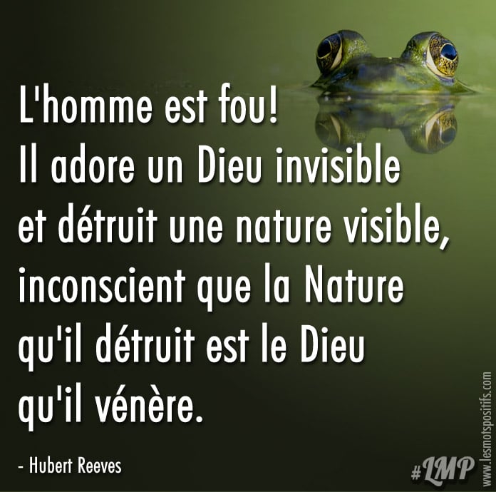 Citation sur La folie de l’homme selon Hubert Reeves