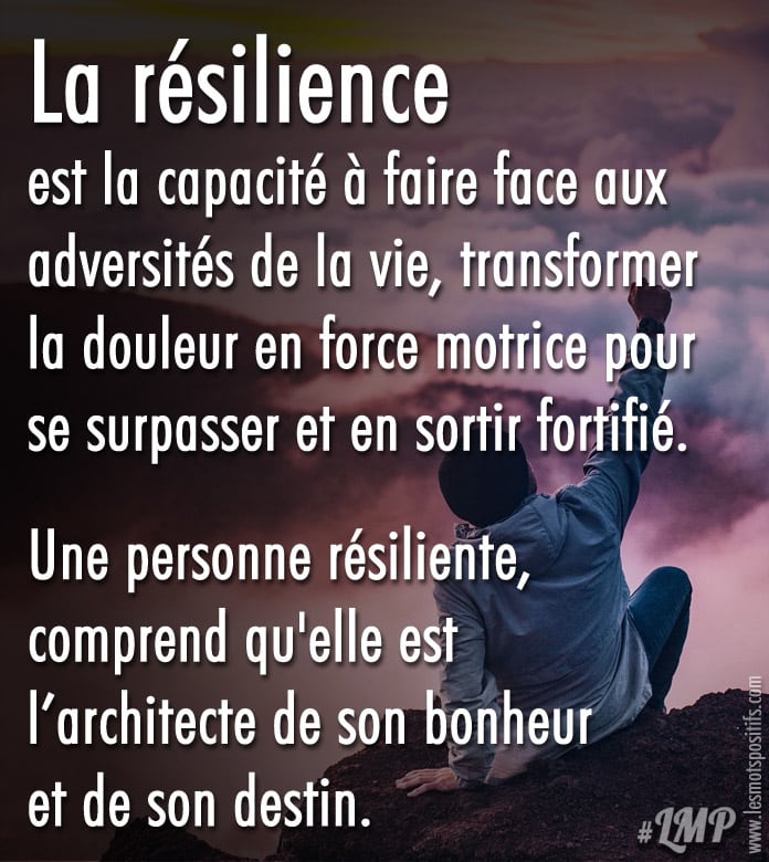 Top 10 des citations sur la résilience