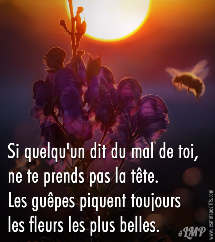 Citation sur Si quelqu’un dit du mal de toi