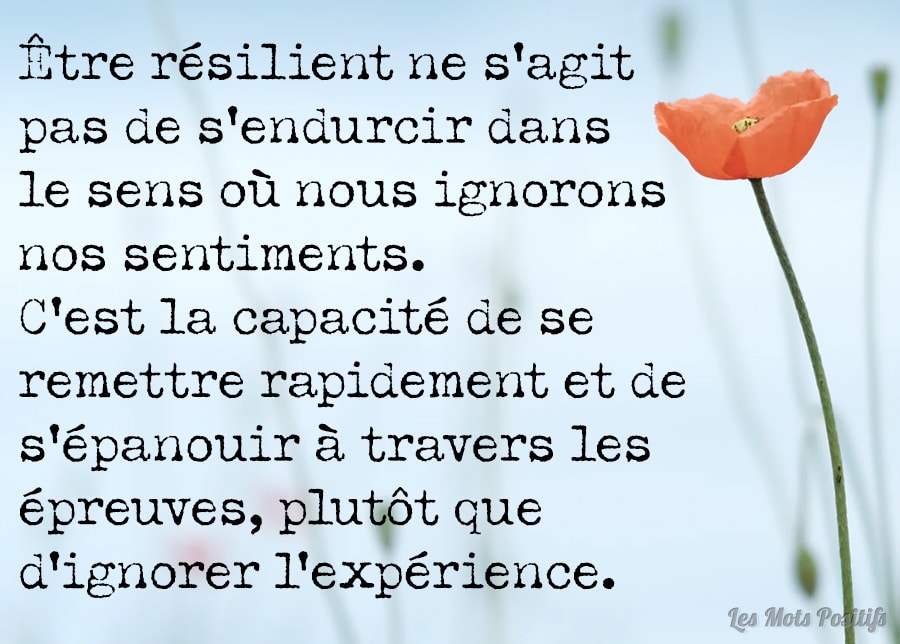 Citation sur Comment une personne hypersensible peut-être résiliente ?