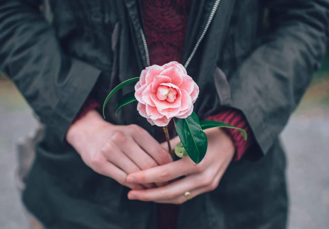 La thérapie par la rose, une voie de guérison pour les femmes