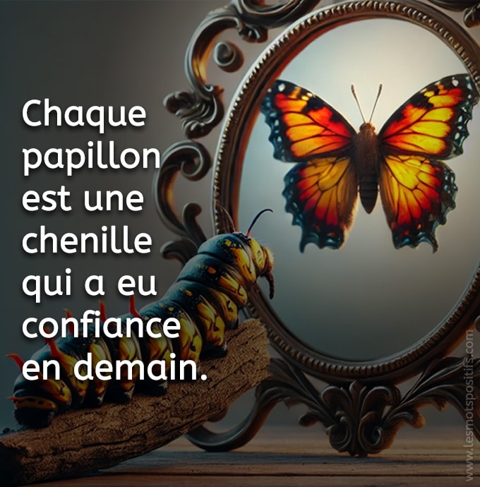 Citation sur Fais confiance au processus